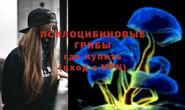стафф Алексин