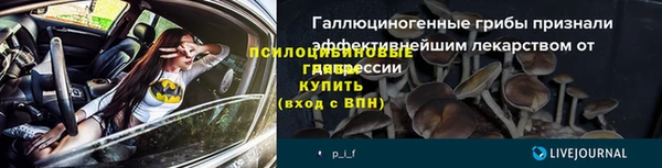 стафф Алексин