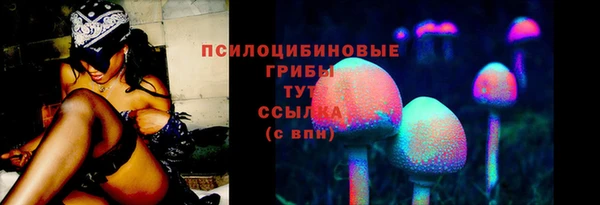 гашик Абдулино