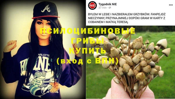 МДМА Алексеевка