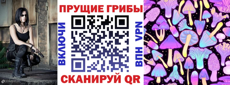Галлюциногенные грибы мицелий  OMG как войти  Плавск 